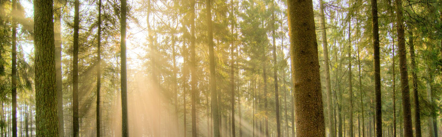 Posterity Solutions, LLC